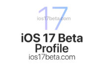 iOS 17 Beta Profile