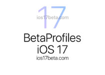 BetaProfiles iOS 17
