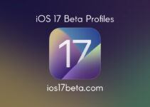 iOS 17 Beta Profiles